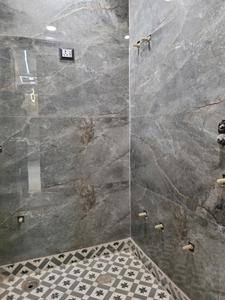 Common Bathroom Image of 550 Sq.ft 2 BHK Apartment / Flat for sale in Razapur Khurd New Delhi for Rs. 3200000