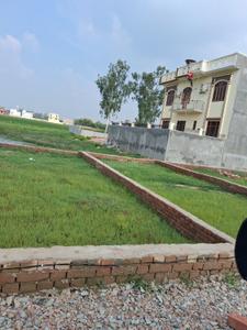 Barai Plot View 3