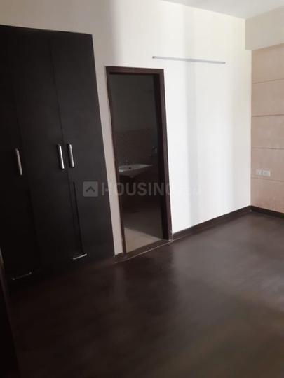 Exotica Dreamville Main Image 1