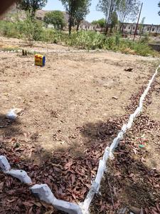 Image of 1100 Sq.ft Residential Plot / Land for sale in Dhinkli, Udaipur for Rs. 3410000