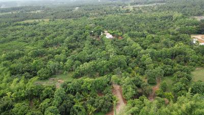 Image of 10890 Sq.ft Residential Plot / Land for sale in Kinathukadavu, Coimbatore for Rs. 7500000