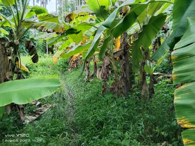 Image of 78480 Sq.ft Residential Plot / Land for sale in Baruipur, Kolkata for Rs. 65400000