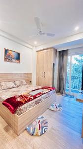 Bedroom Image of 875 Sq.ft 1 BHK Builder Floor for rent in Sector 14 Gurgaon for Rs. 25000