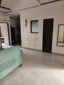 Hall Image of 700 Sq.ft 3 BHK Apartment / Flat for rent in Gillco Palms, Sector 115 Mohali for Rs. 22000