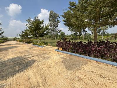 Image of 1200 Sq.ft Residential Plot / Land for sale in Anekal, Bengaluru for Rs. 4798000