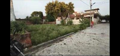 Para Plot View 3