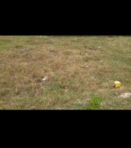 Image of 600 Sq.ft Residential Plot / Land for sale in Pakkam, Thiruvallur, Chennai for Rs. 1500000