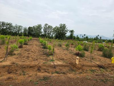 Image of 200 Sq.ft Residential Plot / Land for sale in Gajapatinagaram, Vizianagaram for Rs. 1000000