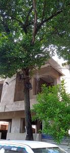 Image of 2500 Sq.ft 5 BHK Independent House for sale in Salt Lake City, Kolkata for Rs. 25500000