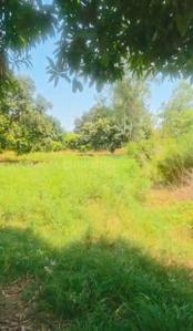 Image of 15828 Sq.ft Residential Plot / Land for sale in Garh Mukteshwar, Hapur for Rs. 40000000