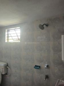 Bathroom Image of 1800 Sq.ft 3 BHK Independent House for rent in Palash Siliguri for Rs. 13999