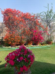 Image of 7000 Sq.ft 5 BHK Builder Floor for rent in Panchsheel Park, New Delhi for Rs. 550000