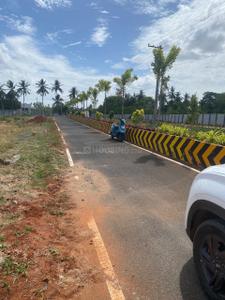 Image of 1200 Sq.ft Residential Plot / Land for sale in Srirangam, Tiruchirappalli for Rs. 2220000