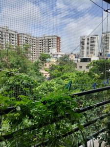 Balcony Image of 950 Sq.ft 2 BHK Apartment / Flat for sale in Gulmohar Privilege, Kharadi Pune for Rs. 10500000