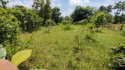 Image of 31968 Sq.ft Residential Plot / Land for sale in Kothavalasa, Visakhapatnam for Rs. 14800000