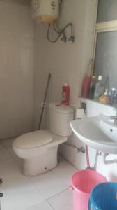 Bathroom Image of 1130 Sq.ft 2 BHK Apartment / Flat for rent in Amrapali Eden Park, Sector 50 Noida for Rs. 32000