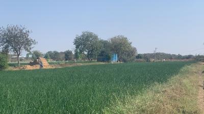 Image of 69696 Sq.ft Residential Plot / Land for sale in Shankarpally, Hyderabad for Rs. 37500000