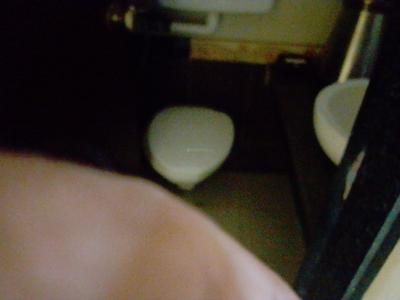 evershine pine Bathroom One 3