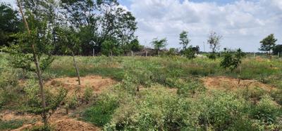 Image of 1000 Sq.ft Residential Plot / Land for sale in Doultabad, Kothapet, Sangareddy for Rs. 8600000