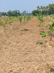 Image of 200 Sq.ft Residential Plot / Land for sale in Kothavalasa, Visakhapatnam for Rs. 1200000
