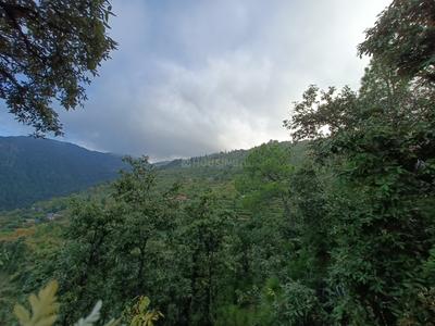 Image of 6450 Sq.ft Residential Plot / Land for sale in Mukteshwar, Nainital for Rs. 2700000