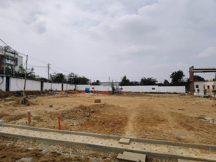 Ruby Sizzle Heritage Main Image 1