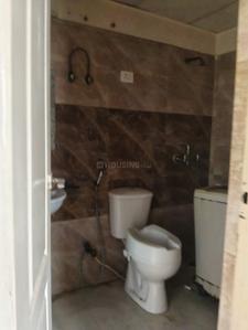 Bathroom Image of 920 Sq.ft 2 BHK Apartment / Flat for rent in Amrapali Castle, Chi V Greater Noida for Rs. 25000