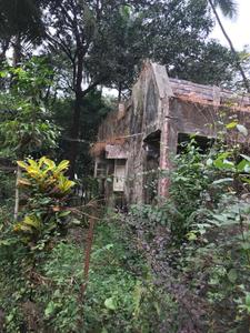 Image of 40000 Sq.ft Residential Plot / Land for sale in Bagmala, Alibag for Rs. 40000000