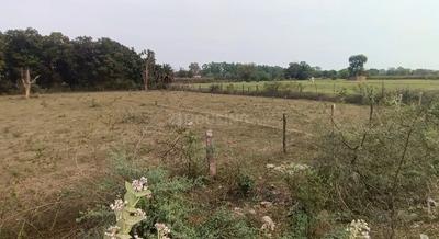 Image of 17250 Sq.ft Residential Plot / Land for sale in Padra, Rewa for Rs. 51750000