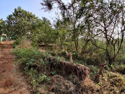 Image of 625 Sq.ft Residential Plot / Land for sale in Nachinola, Goa for Rs. 25000000