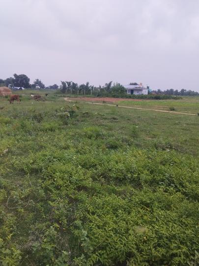 Kil Pennathur Main Image 1