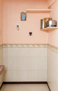 Bathroom Image of 320 Sq.ft 1 BHK Apartment / Flat for sale in Dombivli West Thane for Rs. 2100000