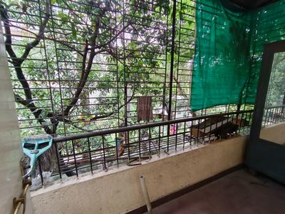 Balcony Image of 550 Sq.ft 1 BHK Apartment / Flat for rent in Vishrantwadi Pune for Rs. 15000
