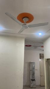 Hall Image of 800 Sq.ft 1 BHK Builder Floor for rent in Sector 55 Gurgaon for Rs. 26000