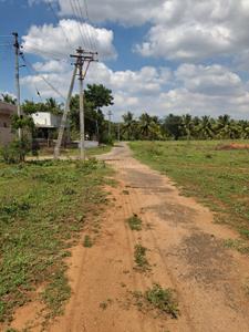 Image of 1750 Sq.ft Residential Plot / Land for sale in Othakalmandapam, Coimbatore for Rs. 2800000