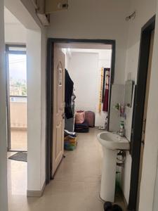Hall Image of 550 Sq.ft 1 BHK Apartment / Flat for rent in Wakad Pune for Rs. 15500