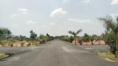Image of 13420 Sq.ft Residential Plot / Land for sale in Kalapatti, Coimbatore for Rs. 66650000