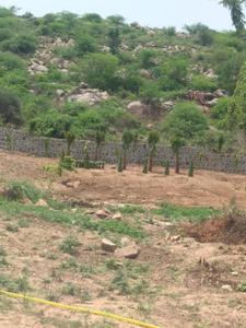 Image of 12411 Sq.ft Residential Plot / Land for sale in Sector 36, Sohna for Rs. 300000000