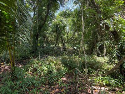 Image of 2177 Sq.ft Residential Plot / Land for sale in Panangad, Kochi for Rs. 3000000