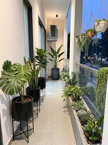 Balcony Image of 1080 Sq.ft 1 BHK Builder Floor for rent in DLF Phase 3 Gurgaon for Rs. 40000