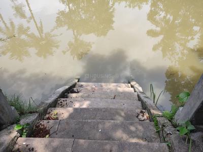 Image of 19620 Sq.ft Residential Plot / Land for sale in Diamond Harbour, South 24 Parganas for Rs. 13500000