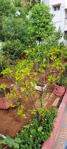 Image of 1518 Sq.ft Residential Plot / Land for sale in Dammaiguda, Secunderabad for Rs. 10000000