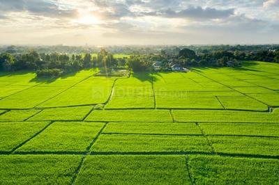 Image of 8848 Sq.ft Residential Plot / Land for sale in Bhavanpur, Ahmedabad for Rs. 274200000