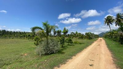 Image of 9100 Sq.ft Residential Plot / Land for sale in KRISHI FARMS OF KERALAM, Madukkarai, Coimbatore for Rs. 6897800