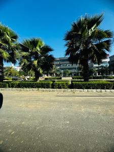 Image of 205 Sq.ft Residential Plot / Land for sale in Manohar The Palm Residency, New Chandigarh, Chandigarh for Rs. 20500000