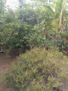 Image of 3800 Sq.ft 4 BHK Independent House for rent in Kottivakkam, Chennai for Rs. 110000