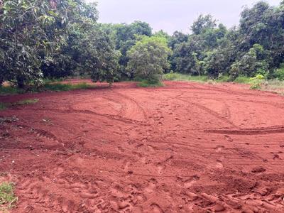 Image of 1600 Sq.ft Residential Plot / Land for sale in Alagar Kovil, Madurai for Rs. 917500