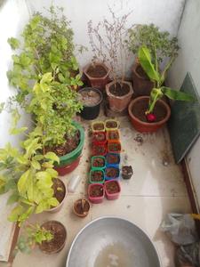 Bedroom Image of 1200 Sq.ft 1 BHK Apartment / Flat for sale in Wadi Vadodara for Rs. 1000000