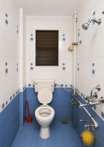 Bathroom Image of 850 Sq.ft 2 BHK Apartment / Flat for rent in Chikhali Pune for Rs. 19500