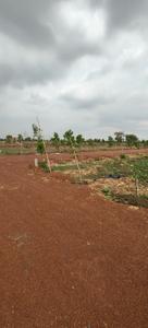 Image of 2200 Sq.ft Residential Plot / Land for sale in Amleshwar, Raipur for Rs. 1586201